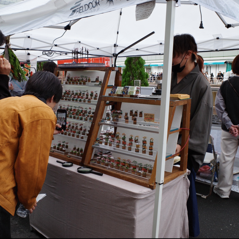 SHINJUKU MIX STREET 2025 詳細 2